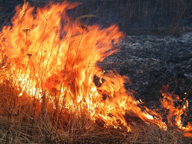 Берегите себя и природу от огня! Отдыхайте и работайте только с соблюдением правил пожарной безопасности и здравого смысла!. Берегите себя и природу от огня! Отдыхайте и работайте только с соблюдением правил пожарной безопасности и здравого смысла!.